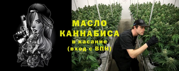 mdpv Бородино