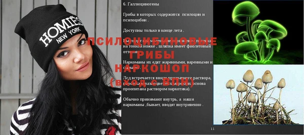 mdpv Бородино
