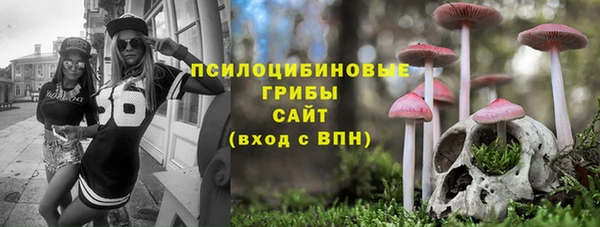 MDMA Богородск